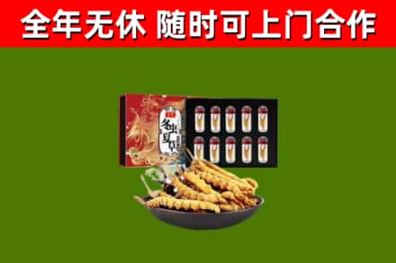 通辽市回收冬虫夏草价格